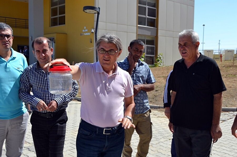 ​​"Etobur örümcek" tedirginliği: Mahalleli sokağa çıkamaz oldu​