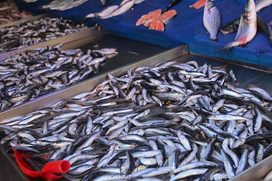 ‘Balık fiyatları yarından itibaren yüzde 50 ucuzlayacak’

                                    
                                    
                                    15 Nisan'da sona eren ve 1 Eylül'de başlayacak balık avı sezonunun fiyatları düşüreceği belirtiliyor. İstanbul Bölgesi Su Ürünleri Kooperatifleri Birliği (İSTBİRLİK) Başkanı Erdoğan Kartal, yeni sezona ilişkin tüm balıkçıların hazırlıklarını tamamladığını belirterek, 1 Eylül'de "vira Bismillah" diyeceklerini söyledi. Araya Kurban Bayramı'nın girmesiyle balıkçıların denize çıkmasının 5 Eylül'ü bulabileceğini dile getiren Kartal, bazı balıkçıların bu yönde karar aldığını aktardı.Yarın başlayacak av sezonuyla balıkların en az yüzde 50 ucuzlayacağını belirten sektör temsilcileri, bu yıl sezondan umutlu olduklarını kaydetti.
                                
                                
                                