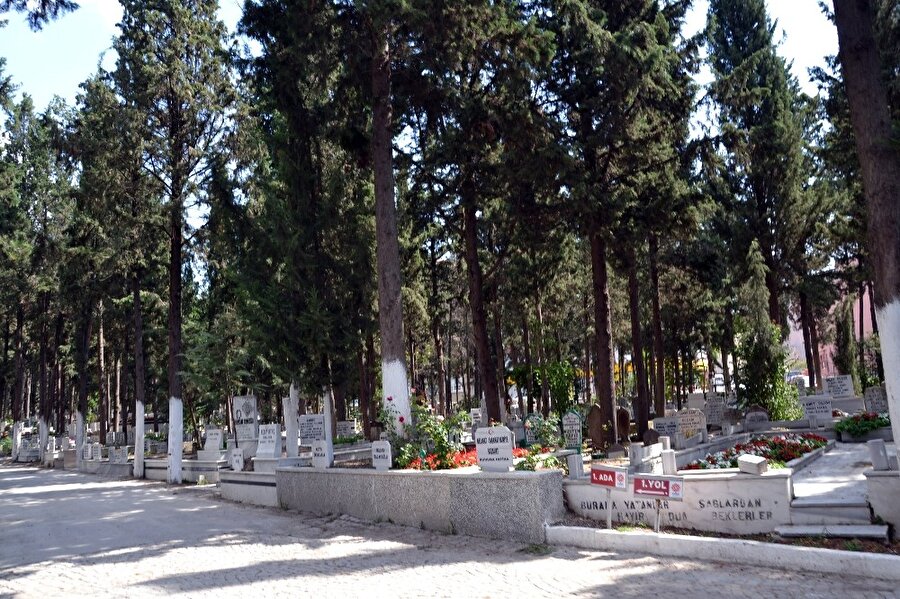 Bir şehir bu mezarlıkta yatıyor