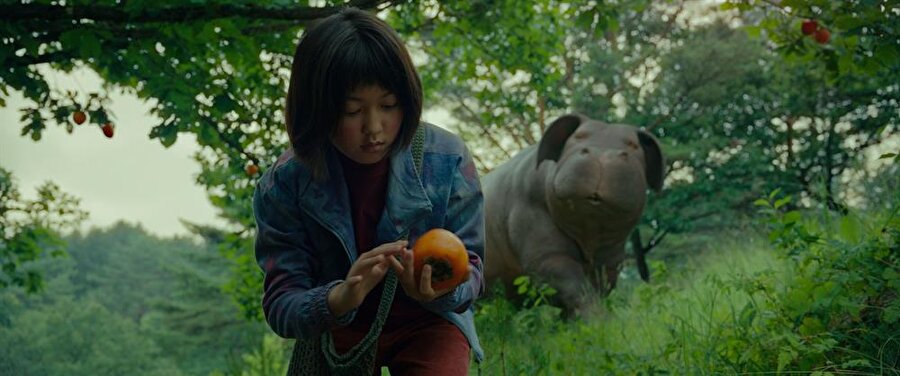 Okja
