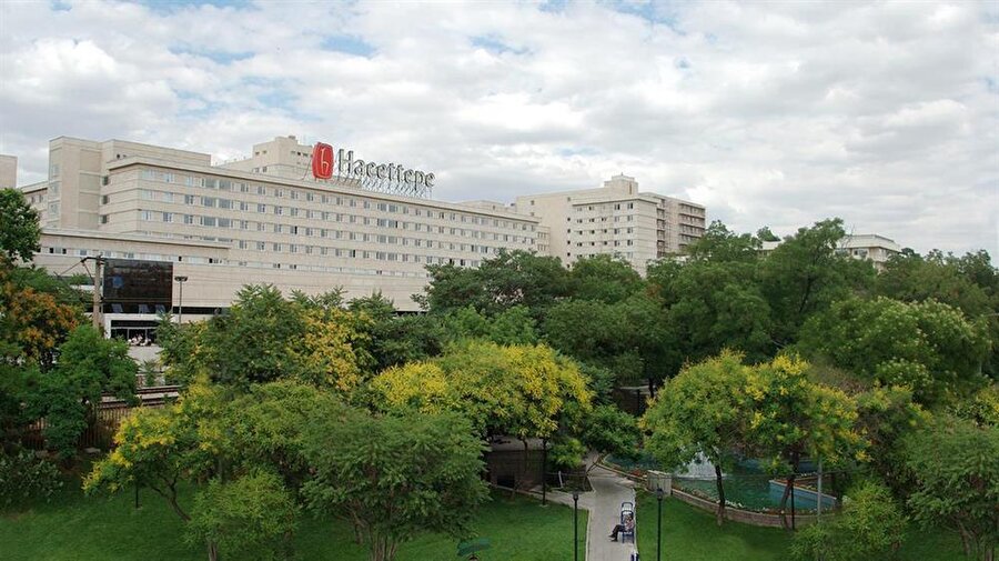 Hacettepe Üniversitesi (601-800)
