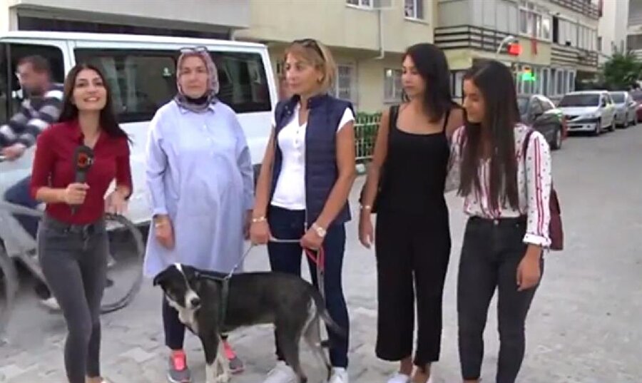 Maylo dakikalar içinde bulundu!

                                    Müge Anlı ve ekibi, Maylo'yu dakikalar içinde buldu.
                                