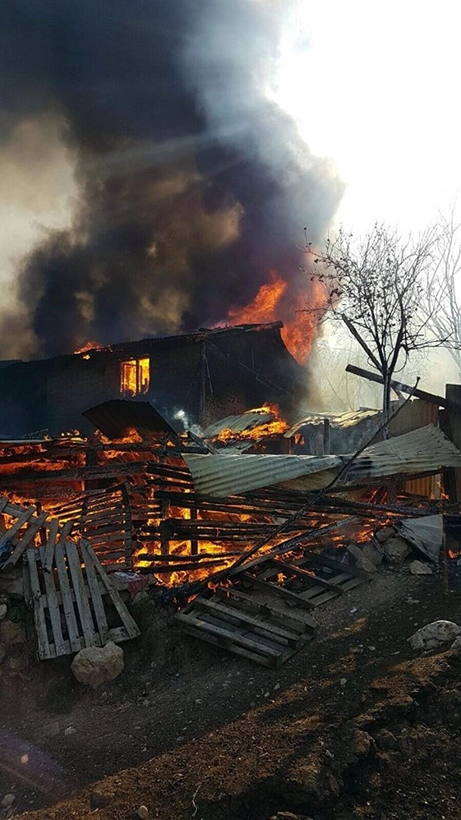 Ahırda çıkan yangında 22 hayvan telef oldu
