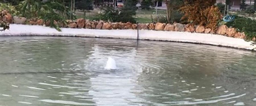 Süs havuzuna düşerek öldü sanılan çocuk hayata döndü