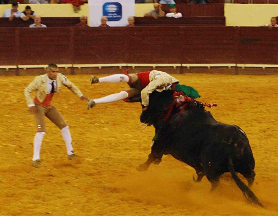 Öfkeli boğa Portekizli matador Fernando Quintela’yı öldürdü!