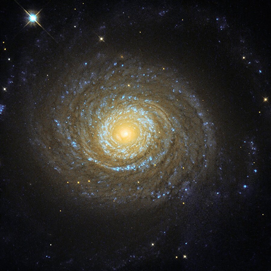 
                                    NGC 6753 adı verilen spiral galaksi sistemi. İçindeki mavi ışıklar yeni oluşmaya başlayan yıldızları gösteriyor. 
                                