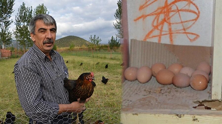 Kızı için tavuk çiftliği kuran babanın ticari zekası alkışı hak ediyor