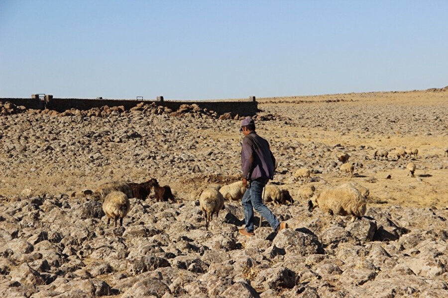 3 bin TL maaşla eleman bulamıyorlar