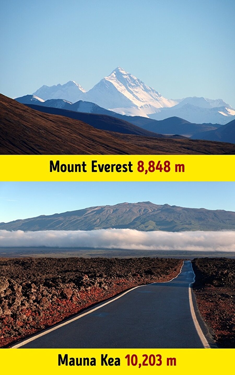 ​Everest Dağı, dünyadaki en uzun dağ değildir. Ölçüm deniz seviyesinden yapıldığında Hawaii'deki Mauna Kea'nın, 10.203 metre ile Everest'ten daha yüksek konumda olduğu biliniyor. 

                                    
                                