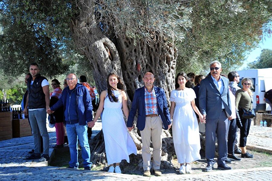 1800 yıllık zeytin ağacı