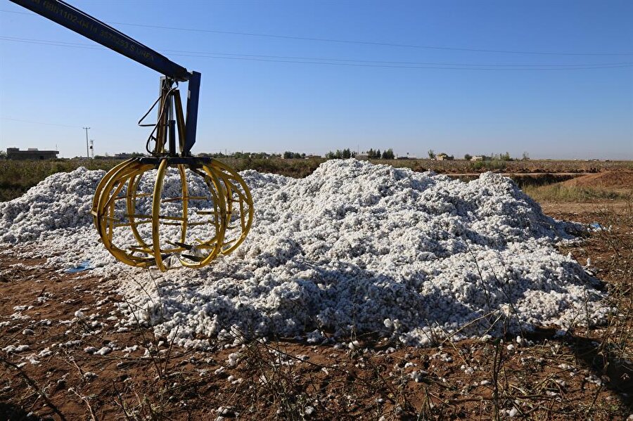 Şanlıurfa’da tarladaki pamuk yığınlarının içinde uyuyan 3 çocuk ölü bulundu.