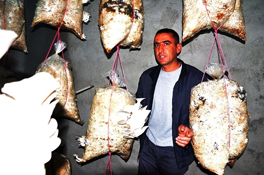 3 ayda 2 ton üretti: Kilosunu 15 TL'den satıyor