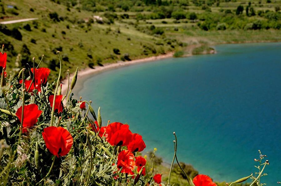 4- Canlı türleri
Gölün çevresinde 200 kuş türünün yaşadığı belirlenmiştir. Suda tuz oranın yüksek olması canlı türünün gelişmesini olumsuz etkilemiştir. Pelikan, flamingo, spatula, martı, ibiş ve leylek gölde yaşayan kuş türleridir. 41 sürüngen, 7 amfibi alanda yaşam sürmektedir.