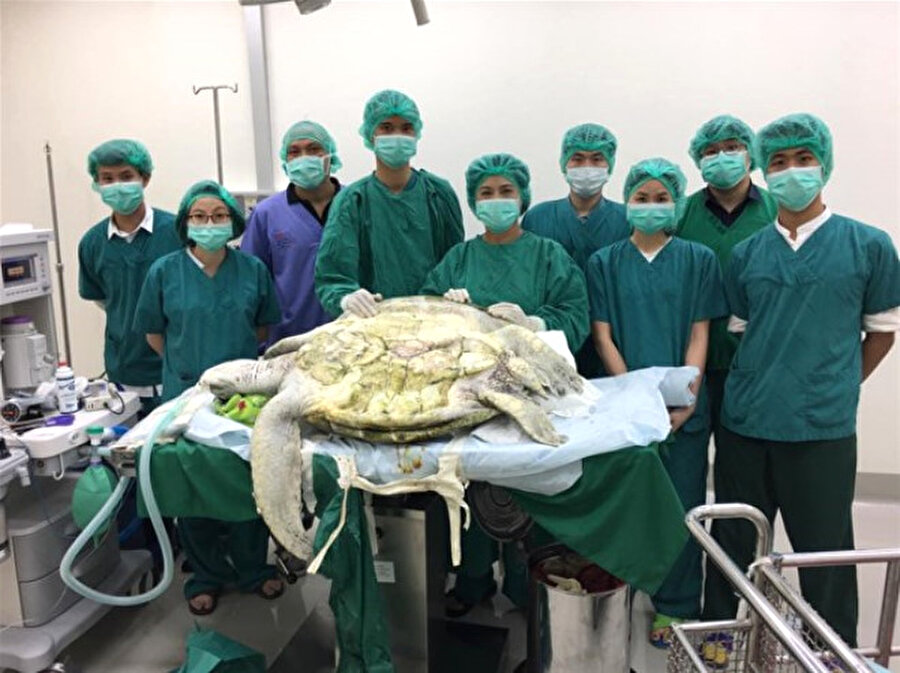 Üniversitenin Veterinerlik Fakültesinden 5 cerrah, 4 saat süren ameliyatla, genel anestezi altındaki Bank'ın karnındaki tüm bozuk paraları temizlemeyi başardılar.

                                    
                                