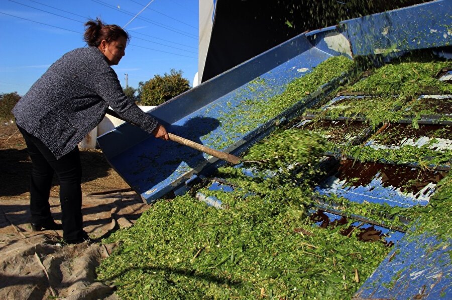 Kadın girişimci yoğun talebe yetişemiyor .