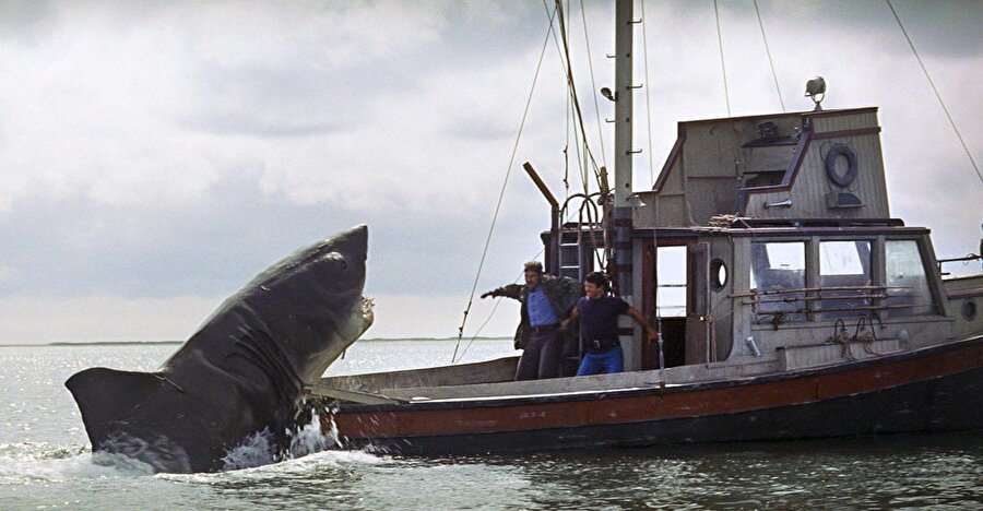 Jaws

                                    Devası büyük beyaz bir köpekbalığının küçük bir adada yaşamakta olan insanları tehdit edişi ve onunla mücadeleyi konu alıyor
                                