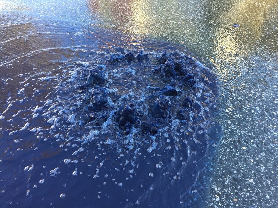 Sokaktaki lacivert su vatandaşlarda merak uyandırdı