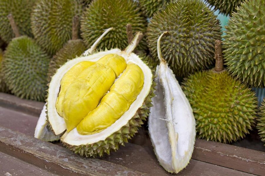 "Durian"
Durian, dünyanın en ilginç meyvelerinden; onu ilginç kılan ise yalnızca şekli değil. 