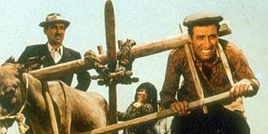 Kovir misen ağam?! Kovmirem! Kovmirem! / Kibar Feyzo