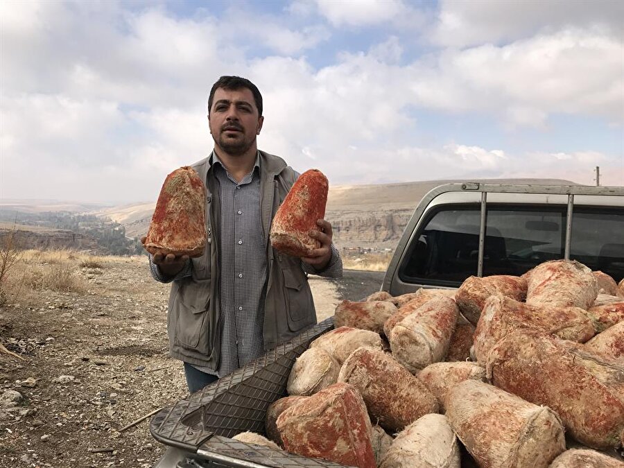 Yılda sadece 45-50 ton üretiliyor
Ayrancı Belediye Başkanı Yüksel Büyükkarcı ise yılda sadece 45-50 ton arasında üretilen peynirin dünyada eşinin olmadığını vurguladı.
En büyük avantajlarının köydeki mağara olduğuna dikkati çeken Büyükkarcı, şunları kaydetti:"Obruk, 36 metre derinliğinde 250 metre uzunluğunda doğal bir mağara. En büyük özelliği mağaradaki bakteriler. Beyaz olarak obruğa konulan deriler 5 ay sonra kıpkırmızı renk alır. Kırmızı rengi almayan deri, Divle Obruk Peyniri değildir. Obruğun en büyük özelliklerinden biri de yaz kış sıcaklığın 4 ila 6 derece arasında olması. Mağaranın 45-50 ton arasında olan kapasitesi 65-70 tona tona çıkartılabilir. Peynirler obruk adını verdiğimiz mağaradan çıkarılmaya başlandı. Şu anda obruğun yarısı boşalmış durumda. Fiyatı 65 ila 70 lira arasında değişiyor. Oldukça iyi bir rakam." Üçharman'a peynir almaya gelen Hatice Yetkin de "Ankara'da oturuyorum. Buraya kadar peynir almaya geldim. Önceden bu peyniri çok duymuştum fakat tadına bakamamıştım. Şimdi burada ikram ettiler. Muhteşem bir lezzet. Bundan sonra sürekli alacağım." ifadelerini kullandı.
