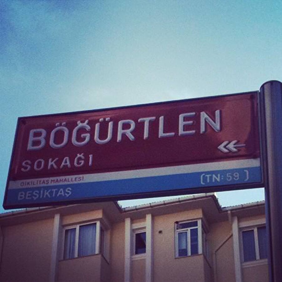 Böğürtlen sokağı