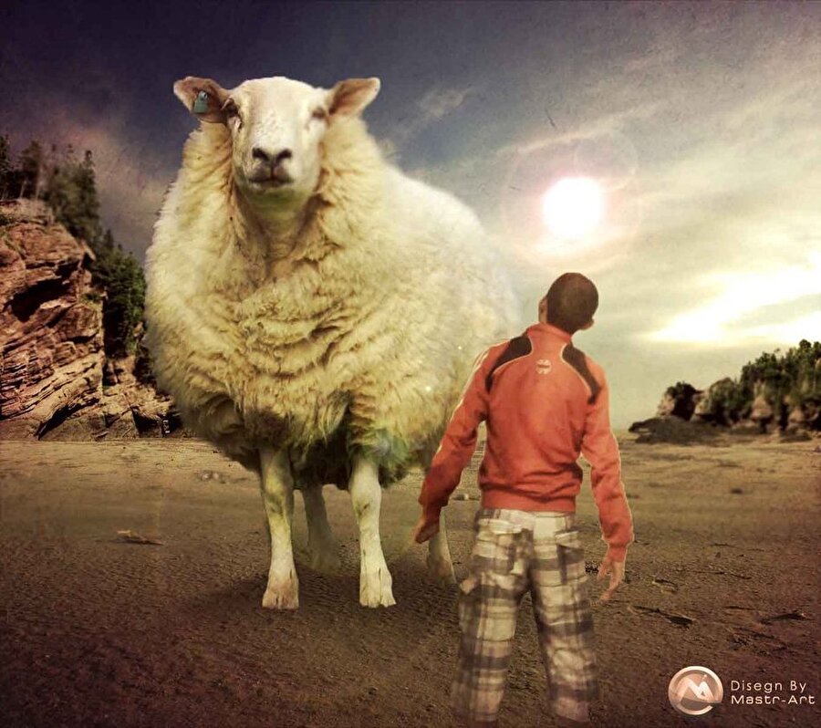 Aç bir koyun insan öldürebilir mi?
1999 yılında İngiltere’de yaşayan Betty Stobbs isimli bir çiftçi hanımı, atv aracına binerek otlayan koyunlarına saman götürüyor. Bu esnada bir maden ocağı kenarında konaklayan sürüye yaklaştığında samanı gören aç koyun sinir harbine girerek bir anda saldırganlaşıp kadına saldırıyor ve kadın orada boynu kırılması sonucu hayatını kaybediyor… 