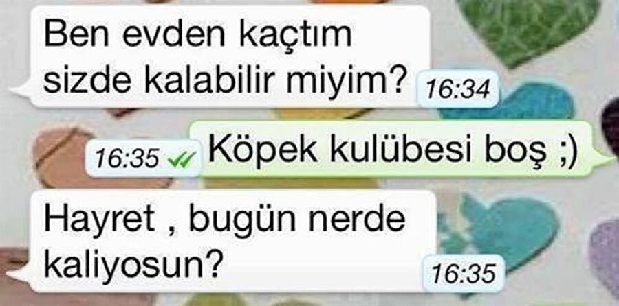 Sizde kalabilir miyim?
Uzun zaman sonra gördüğüm en iyi kapak diyebilirim..