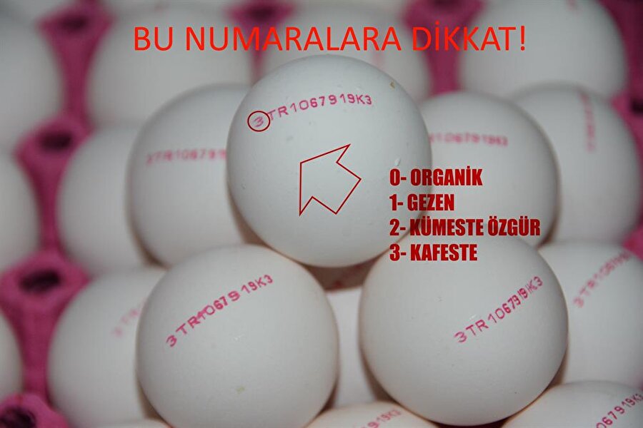 Balıkesir Ticaret Borsası ve Yumurta Üreticileri Birliği Başkanı Faruk Kula, yaptığı açıklamada, Bakanlığın uygulamasının çok yerinde ve doğru olduğunu belirtti.