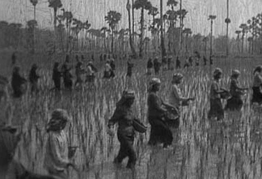 Tabi ki silahla. 60'larda Komünist Partinin silahlı kolu Kızıl Kmerler'in başına geçti ve ormanda kurduğu karargahta örgüt mensuplarıyla birlikte yaklaşık 10 yıl boyunca kapitalist düzenden uzakta yaşadı.

                                    
                                