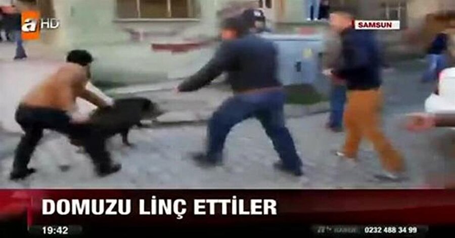 Domuzu linç ettiler

                                    
                                    Domuz neye uğradığını şaşırmıştır..
                                
                                
