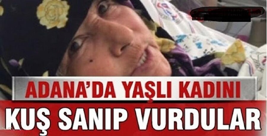 Kuş sanıp vurdular

                                    
                                    Olayın Adana'da yaşanması şaşırtmadı..
                                
                                
