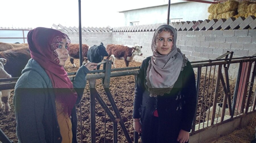 İki elti çiftlik kurdu