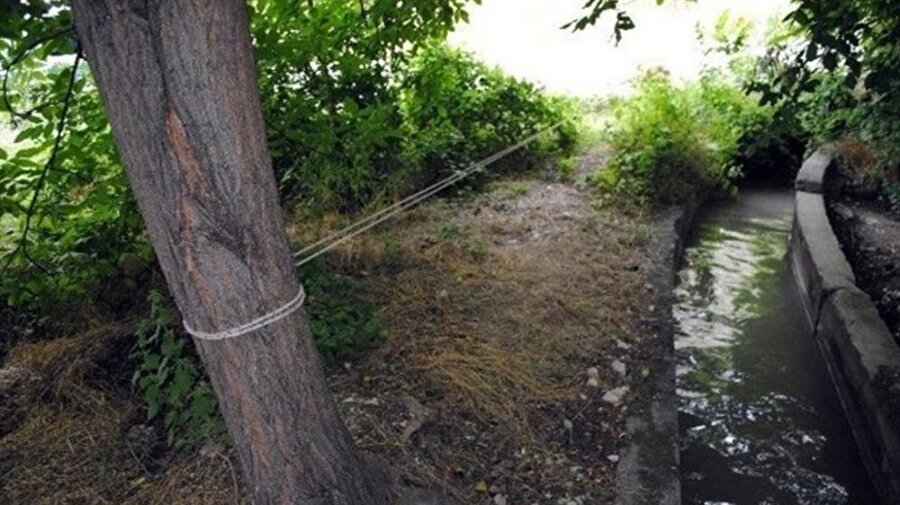 İzlenme rekorları kırmak için öz kardeşini ağaca bağlayıp işkence etti