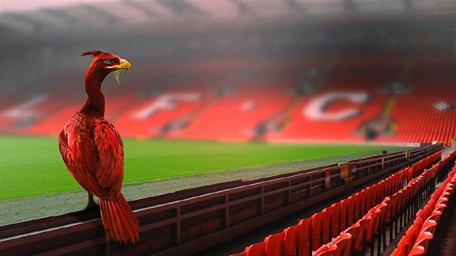 İngiltere’nin Kuzeybatısının Liverpool şehrinde kurulan Liverpool FC, 1892 yılından bu yana armasını sürekli değiştirmiş ama amblemin ana karakteri olan ‘Liver Bird’den asla vazgeçmemiş.

                                    
                                