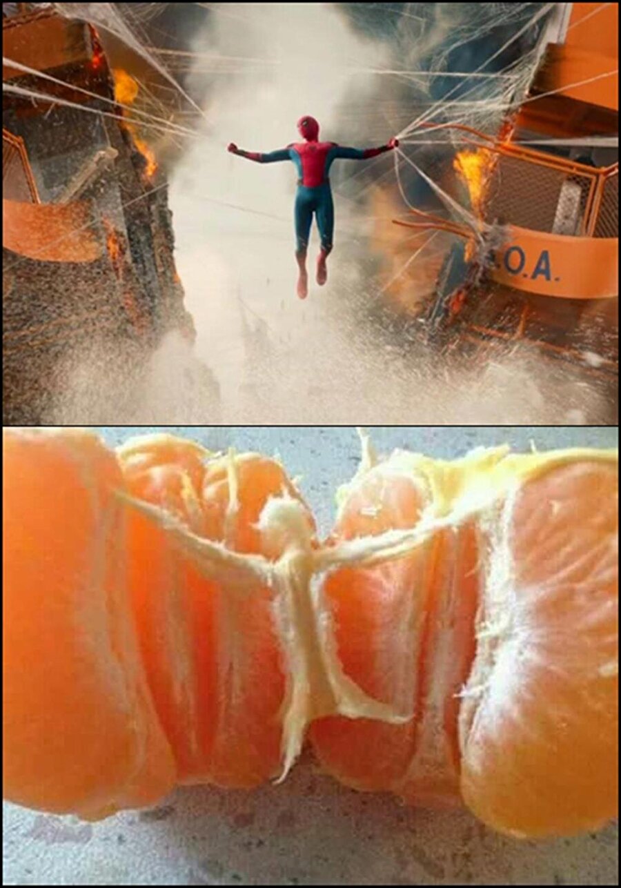Spiderman olacakken son dakikada mandalina olmuş mandalina

                                    
                                
