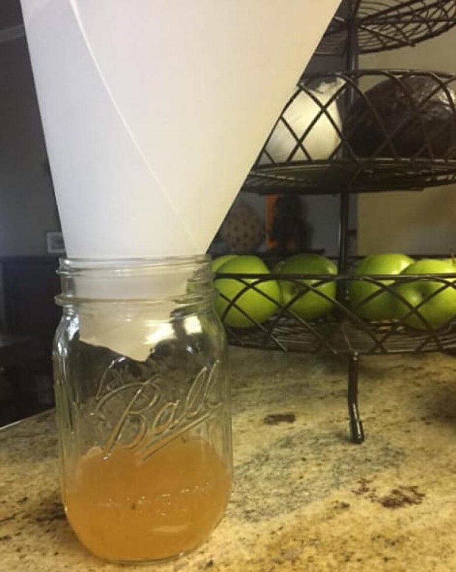 Elma suyu ve bulaşık deterjanıyla sivri sinekleri uzak tutma yolunu bulan bilim insanı anne

