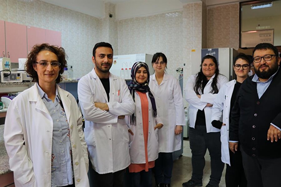 Pamukkale Üniversitesi