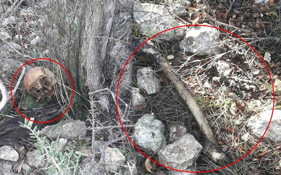 Mersin’de ormanlık alanda, çalılarla kaplı bölgede bir insana ait olduğu belirtilen kemik parçaları bulundu.
