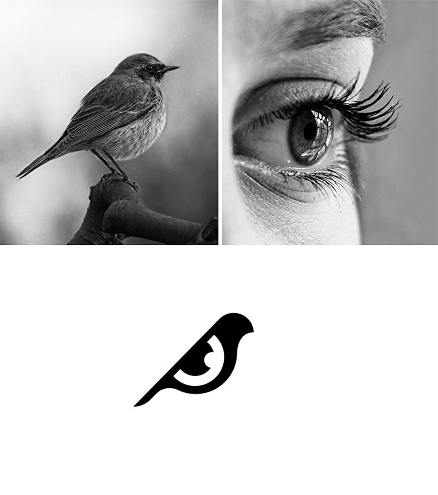Kuş gözü
