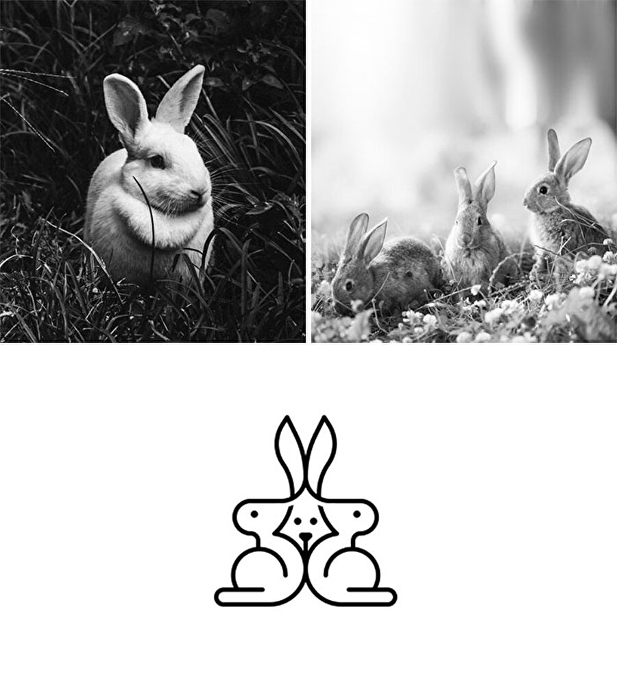 Tavşan ailesi

