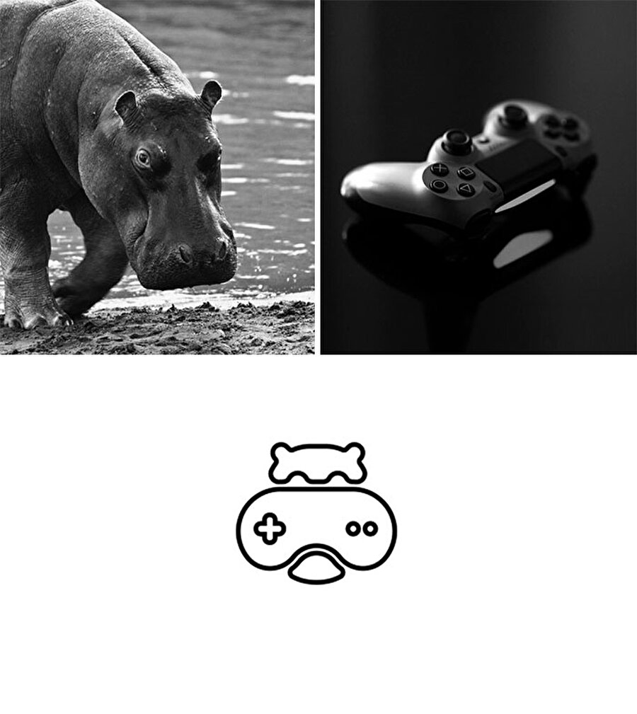 Hippo oyuncu
