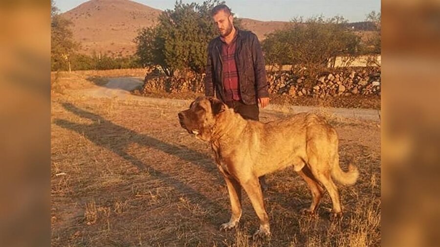 20 bin TL'lik kangalı 20 saniye içerisinde çaldılar