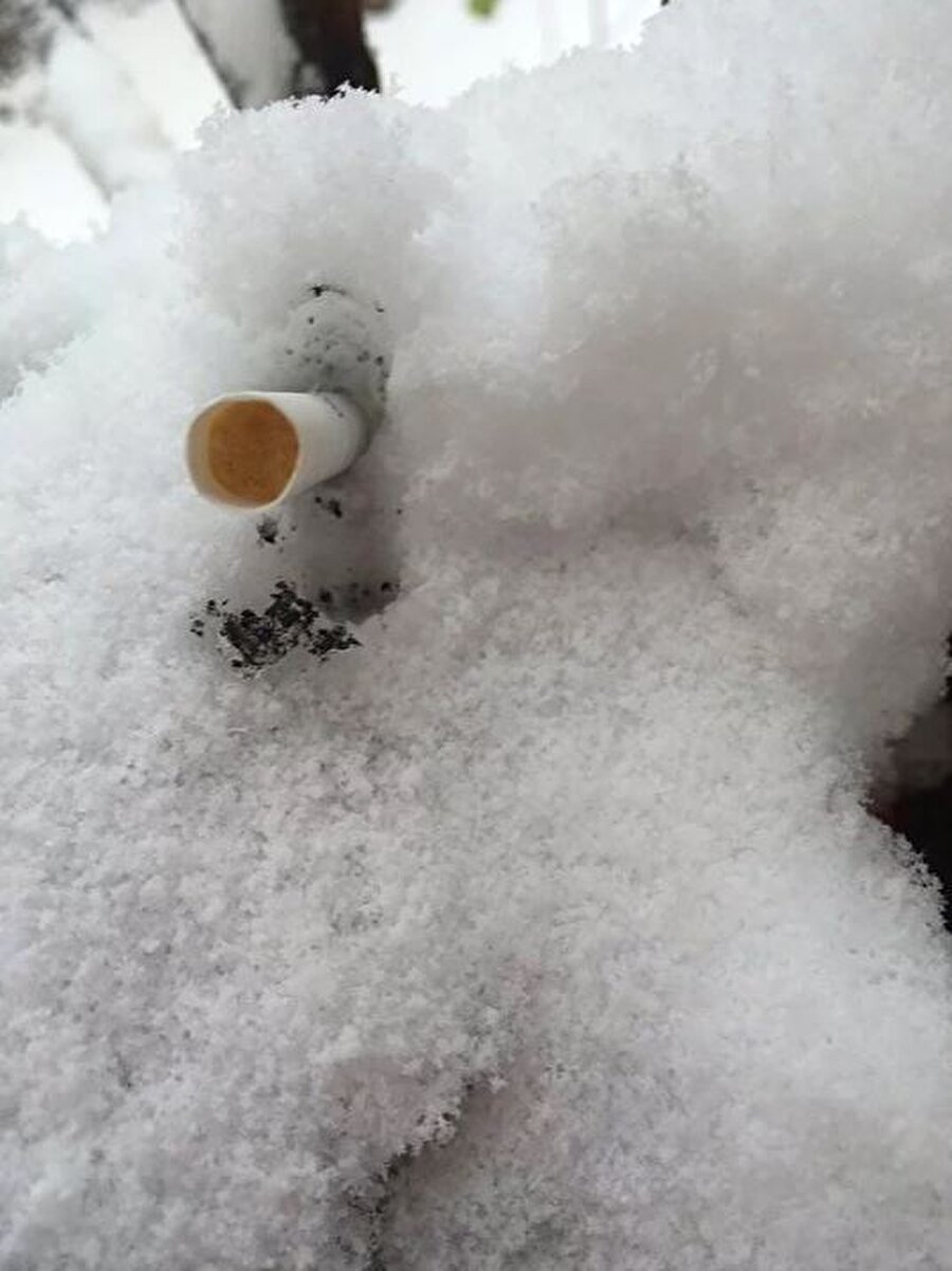 Kara sigara izmariti basmak

                                    
                                    
                                
                                