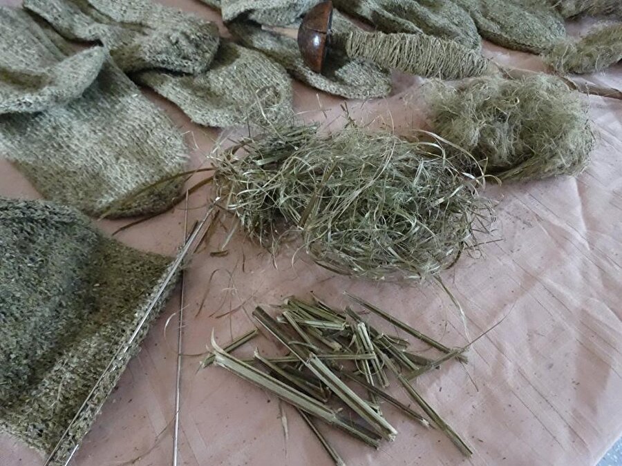 Isırgan otu ekonomiye kazandırılıyor