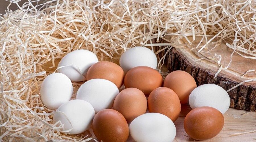 Yumurta

                                    
                                    
                                    Yumurtanın adet fiyatı 46.500 TL
                                
                                
                                