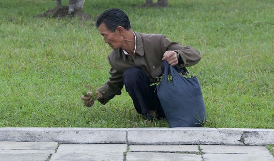 Çim yiyenler

                                    Kuzey Kore'de çim yeme halk arasında oldukça yaygın bir alışkanlıktır.
                                