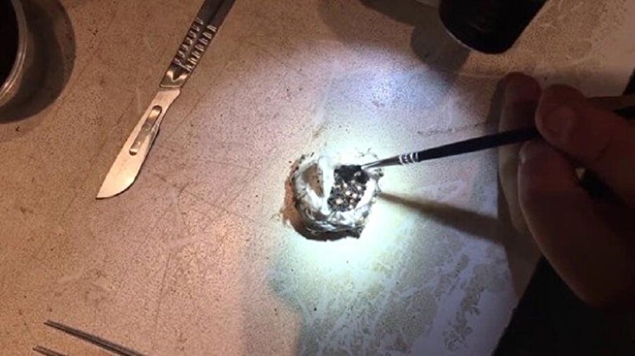 Açılan keseden zehir saçan onlarca örümcek çıktı.