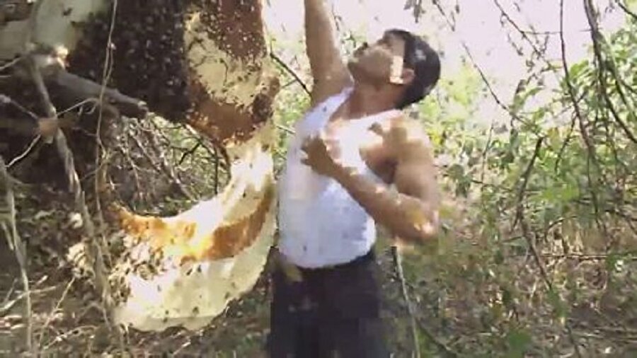 Avuçlayıp atletinin içine doldurdu!

                                    
                                    Hindistan'da yaşayan arıcı Suk Mahammad Dalal yaptığı korkusuz gösteri ile izleyenleri şaşkına çevirdi. 31 yaşındaki adam, kovandaki arıları avuçlayarak atletinin içinde doldurdu. 
                                
                                