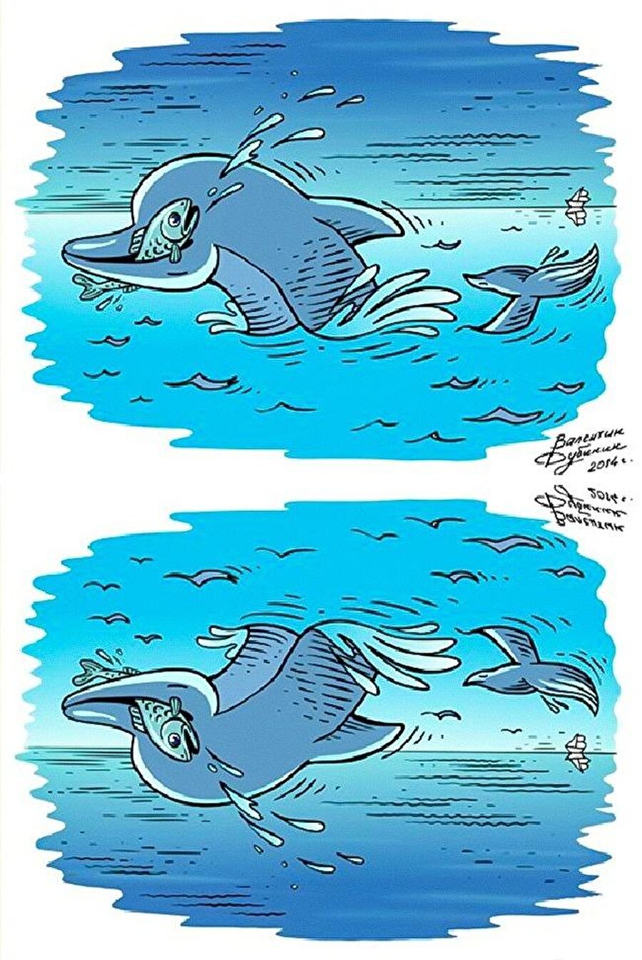 Yunus balığı ve pelikan
