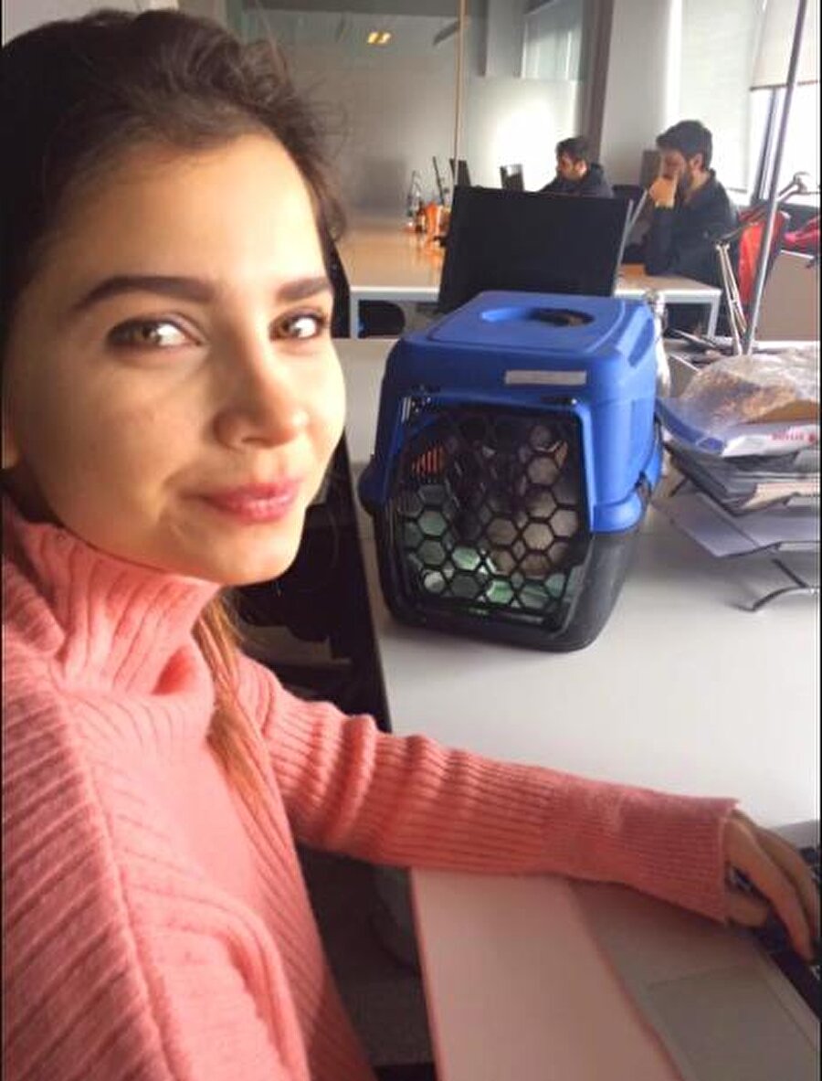 Her şey böyle başladı...
Koç Üniversitesi Bilgisayar Mühendisliği bölümünü bitiren 28 yaşındaki Dilay Çetinçay, yeni bir işe başlamıştı ki; kısa sürede dizi filmlerin aranan yüzü haline geldi. Genç kız, internet aracılığı ile bulduğu Dr. A.K.'nın sahibi ve yöneticisi olduğu kliniğe başvurarak bir operasyon geçirdi.